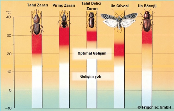 Tahıl Rutubeti ve Mikotoksin Riski